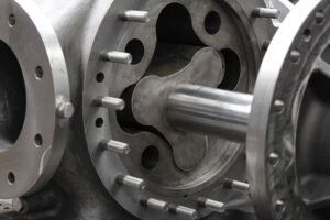 Lobe Pump Albany