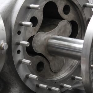 Lobe Pump Albany