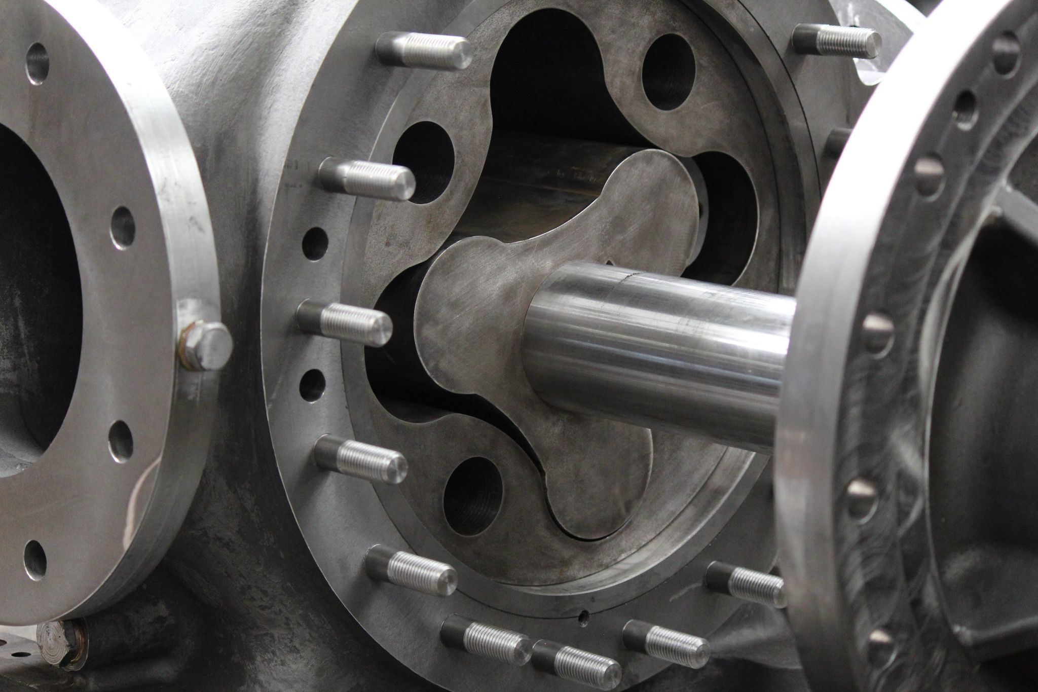 Lobe Pump Albany